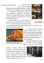 Referāts 'Radiācija un tās izmantojums medicīnā', 12.