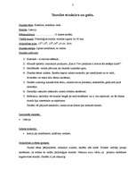 Prakses atskaite 'Valsts kvalifikācijas prakse X vidusskolā', 3.