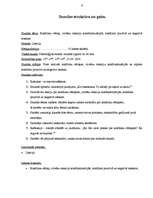 Prakses atskaite 'Valsts kvalifikācijas prakse X vidusskolā', 6.