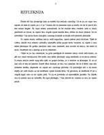 Prakses atskaite 'Valsts kvalifikācijas prakse X vidusskolā', 8.