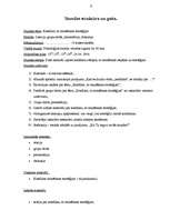 Prakses atskaite 'Valsts kvalifikācijas prakse X vidusskolā', 9.