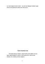 Referāts 'Čigānu minoritātes integrācijas pakāpe Latvijā', 11.