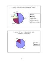 Referāts 'Čigānu minoritātes integrācijas pakāpe Latvijā', 29.
