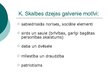 Prezentācija 'Kārļa Skalbes dzīve un daiļrade', 12.