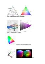 Referāts 'Krāsas', 7.