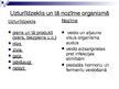 Prezentācija 'Olbaltumvielu bioloģisko funkciju daudzveidība', 5.