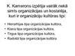 Prezentācija 'Organizācijas kultūras tipi', 2.