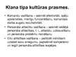 Prezentācija 'Organizācijas kultūras tipi', 8.