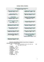 Referāts 'Arhīvniecība', 3.