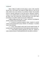 Referāts 'Dalībvalsts iespējas ietekmēt Eiropas Savienības lēmumus', 13.