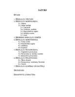 Referāts 'Dienlilijas', 2.