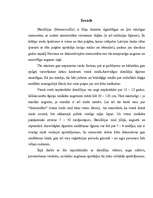 Referāts 'Dienlilijas', 3.