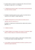 Prezentācija 'Skābeklis ', 11.