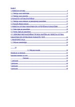 Referāts 'Veselīga uztura pamatprincipu ievērošana pusaudžu vecumā', 4.