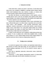 Referāts 'Veselīga uztura pamatprincipu ievērošana pusaudžu vecumā', 8.