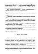 Referāts 'Veselīga uztura pamatprincipu ievērošana pusaudžu vecumā', 13.