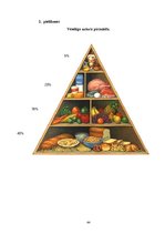 Referāts 'Veselīga uztura pamatprincipu ievērošana pusaudžu vecumā', 44.