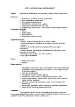 Konspekts 'Sižeta lomu rotaļa "Modes skate"', 1.