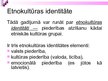 Prezentācija 'Pedagoģija par identitāti', 29.