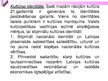 Prezentācija 'Pedagoģija par identitāti', 31.