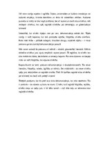 Eseja 'Cilvēka gaisma: pretsvars dehumanizācijai mūsdienu pasaulē', 2.