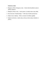 Eseja 'Cilvēka gaisma: pretsvars dehumanizācijai mūsdienu pasaulē', 3.