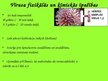Prezentācija 'Herpes simplex vīruss', 5.