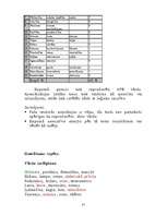 Prakses atskaite 'Bakalaura studiju psiholoģijā klīniskās prakses atskaite', 37.