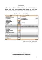 Biznesa plāns 'Biznesa plāns uzņēmumam SIA "PDI Trans"', 13.