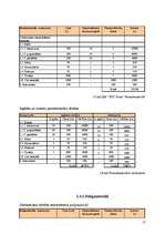 Biznesa plāns 'Biznesa plāns uzņēmumam SIA "PDI Trans"', 17.