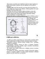 Referāts 'Stomatoloģija', 9.