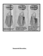 Referāts 'Stomatoloģija', 16.