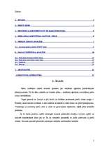 Referāts 'Reklāmas nozares apraksts', 2.