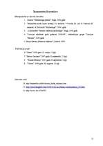 Referāts 'Reklāmas nozares apraksts', 12.