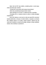 Referāts 'Elektrokardiogrammas interpretācija', 14.