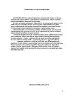 Prakses atskaite 'Ražošanas prakse SIA ”TF”', 10.