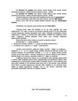 Prakses atskaite 'Ražošanas prakse SIA ”TF”', 12.