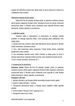 Referāts 'Sabiedrisko attiecību kampaņa', 4.