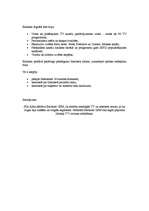 Konspekts 'Stratagēmas', 5.