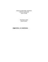 Referāts 'Datora maģistrāles', 1.