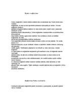 Referāts 'Datora maģistrāles', 2.