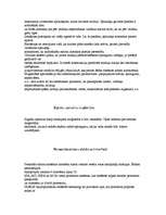 Referāts 'Datora maģistrāles', 3.