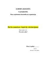 Eseja 'Darba samaksas vispārējs novērtējums, motivācija', 1.