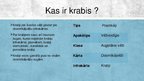 Prezentācija 'Krabji - vēžu klase', 3.