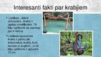 Prezentācija 'Krabji - vēžu klase', 8.