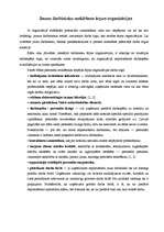 Referāts 'Jaunu darbinieku meklēšana ārpus organizācijas', 5.