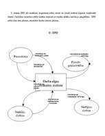 Konspekts 'Datu plūsmas diagramma darba algas uzskaites sistēmā', 3.