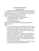 Referāts 'Bezsaimnieku kaķi Rīgā', 4.