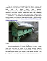Referāts 'Bezsaimnieku kaķi Rīgā', 13.