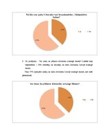 Referāts 'Bezsaimnieku kaķi Rīgā', 20.